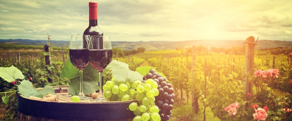 GR-Vinícola-Panorâmica-002